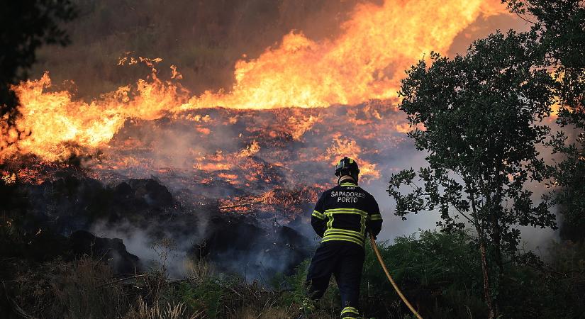 Berágott az iskolára, felgyújtotta az erdőt egy portugál fiú
