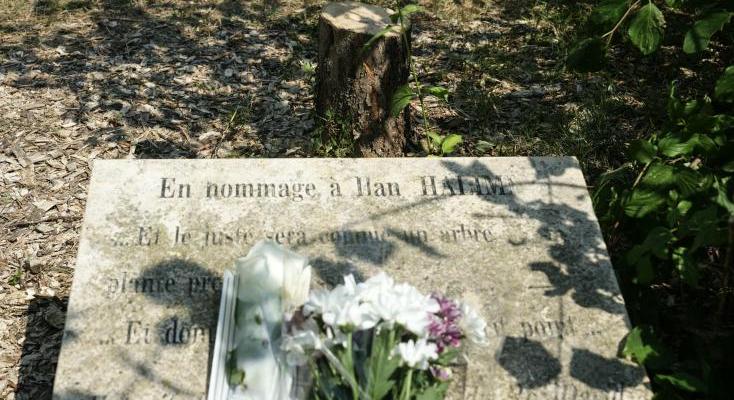 Két tunéziai férfi vágta ki Ilan Halimi emlékfáját