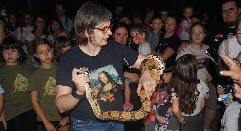 Megfagyott a levegő, amikor egy különleges hüllő tekeredett az állatorvos karjára – galériával, videóval