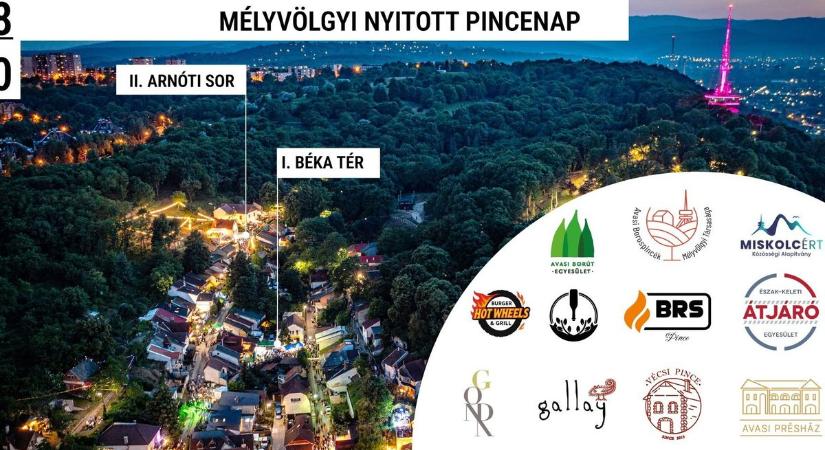 Nyárzáró kikapcsolódás az avasi Mélyvölgy pincéinél