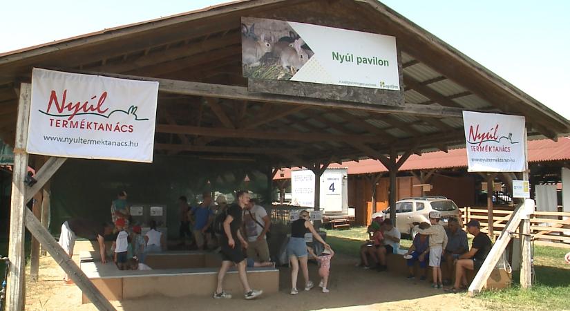 Várakozáson felüli látogatószámmal zárt a 34. Farmer Expo