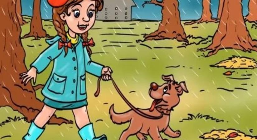 Zseniálisan ügyes vagy, ha 10 másodperc alatt kiszúrod, mi a hiba ezen a képen