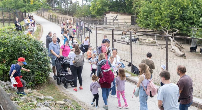 Ünnep a mindennapok hőseinek – kórházi dolgozók családi napja Veszprémben ( galéria)