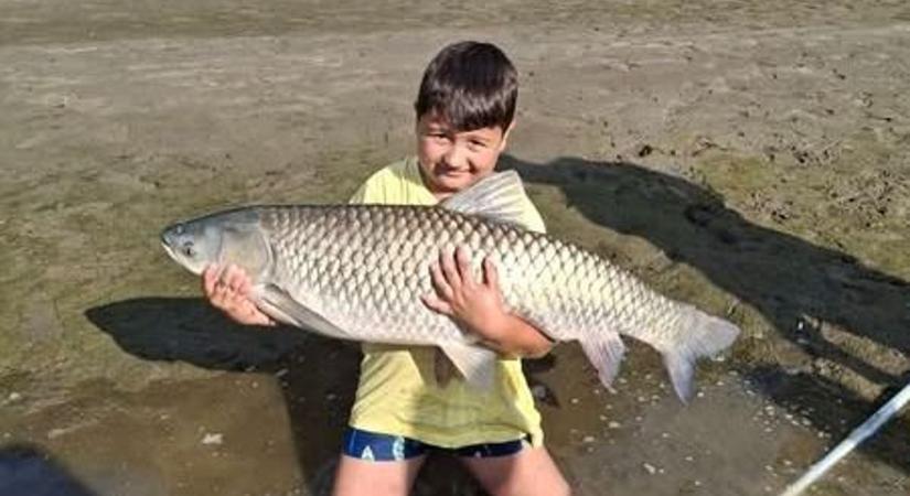 8 éves kisfiú fogta ki a Tisza álomhalát
