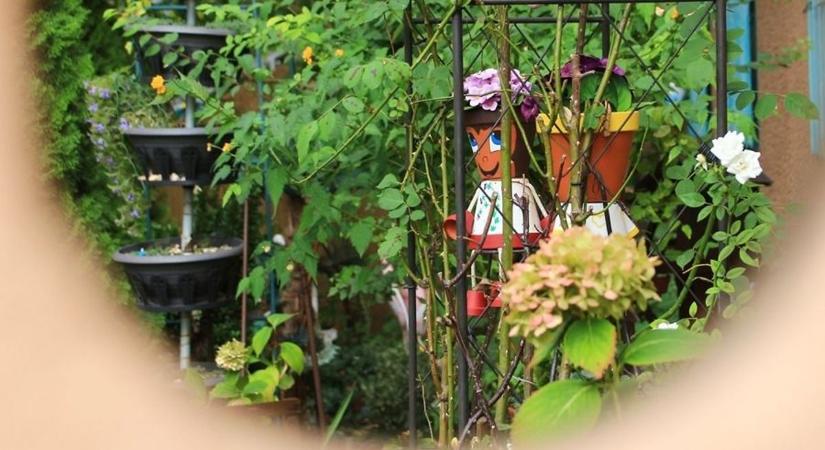 Fantasztikus olvasói fotókon Marcalváros mesekertje