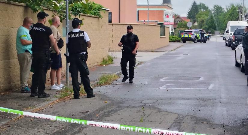 Őrizetbe vették a várandós nő lelövésével gyanúsított férfit