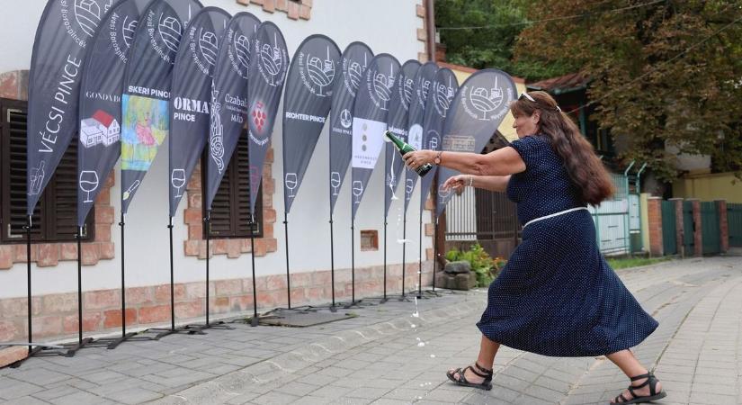 Zászlót avatott az Avasi Borospincék Mélyvölgyi Társasága - képek