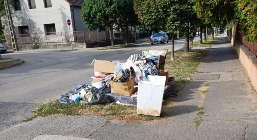 Állandó probléma Veszprémben az utcán heverő hulladék