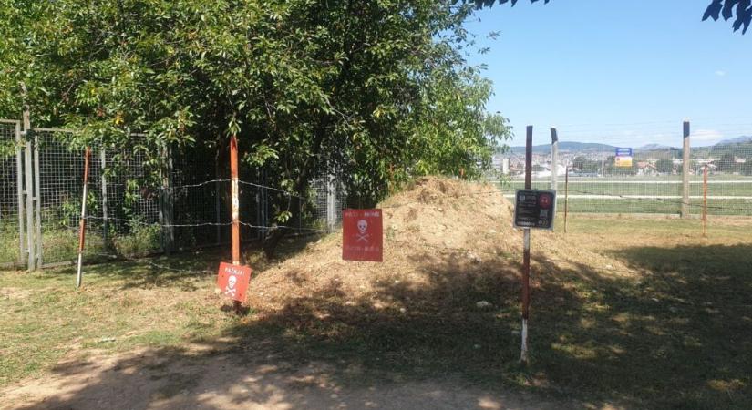 Az elkóborolt kecskéket próbálta visszaterelni az aknamezőről, életét vesztette a fiatal férfi