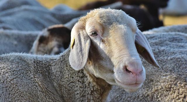 Szakmapolitikai kérdések a Farmer Expón