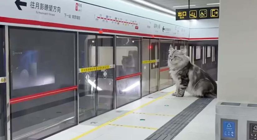 Olyan metró nyílt, amihez hasonló nincs még egy a világon