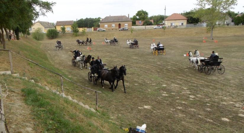 Kettesfogatok vetélkedtek Hercegszántón, az eső ellenére is jó hangulatban telt a nap – fotók