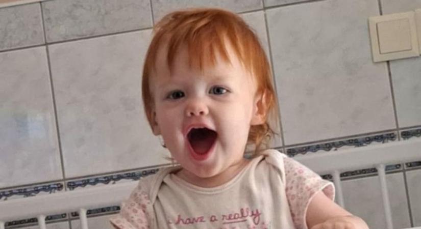 Újabb fél millió forint gyűlt össze a májdaganatos kislánynak