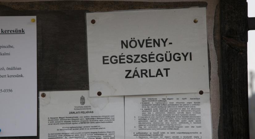 Ha felfedezi ezt a leveleken, azonnal jelentenie kell a hatóságnak