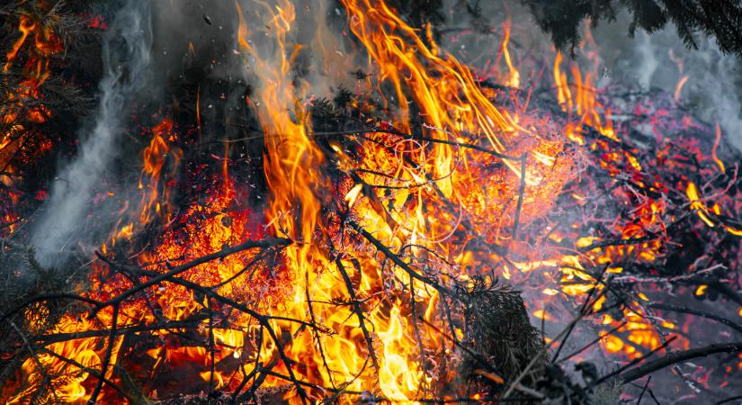 Megszűnik az országos tűzgyújtási tilalom, nyolc vármegye kivétel