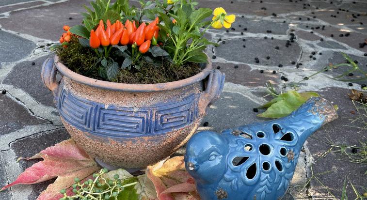 Itt az őszi balkon- és kertdíszítés ideje: virágos dekorok, amiben még sokáig gyönyörködhetsz