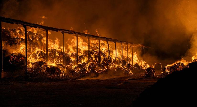 A tűzoltók hihetetlen mentőakciója után kiderült, ki zúzott le 11 autót (fotó, videó)