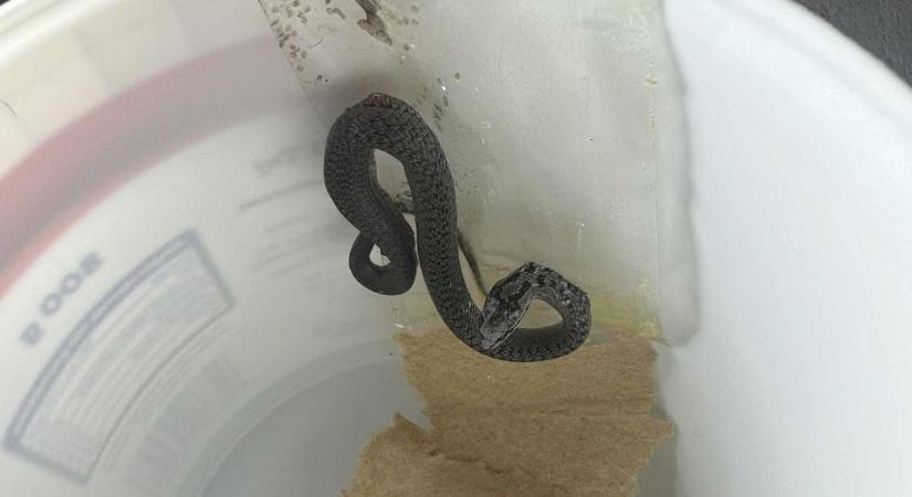 Biztonságot keresnek, rémületet kapnak