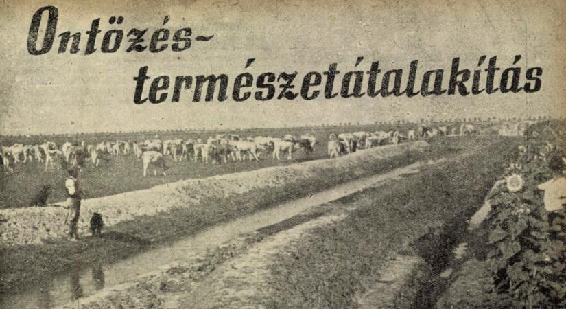 1952-ben Sztálin mutatta az utat, ma Orbán Viktor diktálja az aszály elleni védekezés szabályait