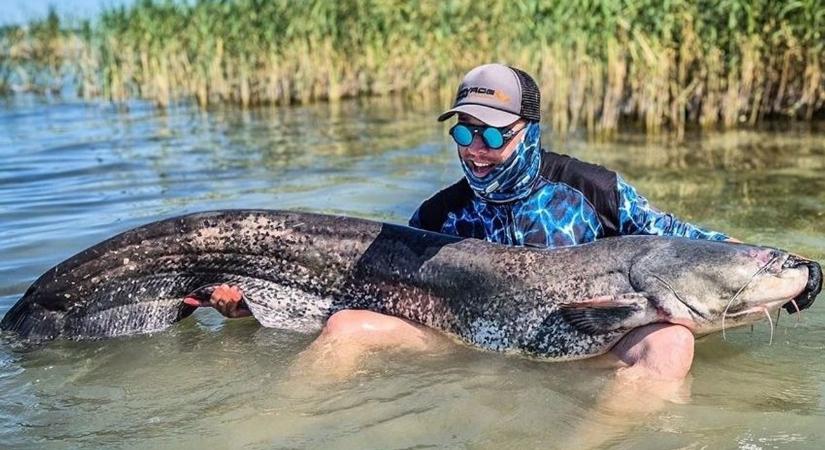 Úgy forgatta a csónakot, mintha a mélybe akarna rántani - döbbenetes harcsarekord a Balatonon - fotó, videó