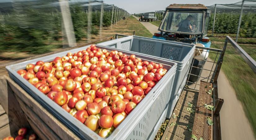 Folytatódott a drágulás az iparban, éves szinten 4,5 százalékkal nőttek az árak
