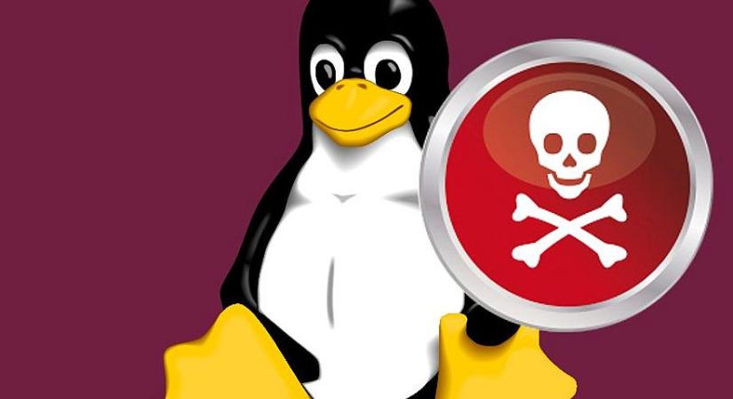 Veszélyes és káros a gépre a Linux - figyelmeztet egyre több vírusirtó