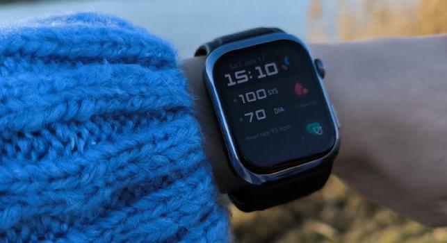 Valaki több okosórát adott el, mint az Apple