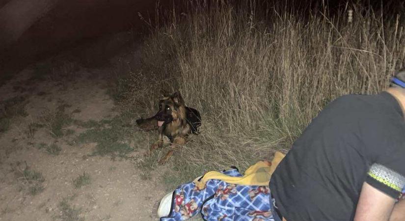 Kutya és drón segítette a keresést Szuhakállón