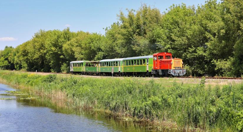 75 éves a Balatonfenyvesi Gazdasági Vasút – élő örökség a Nagyberekben