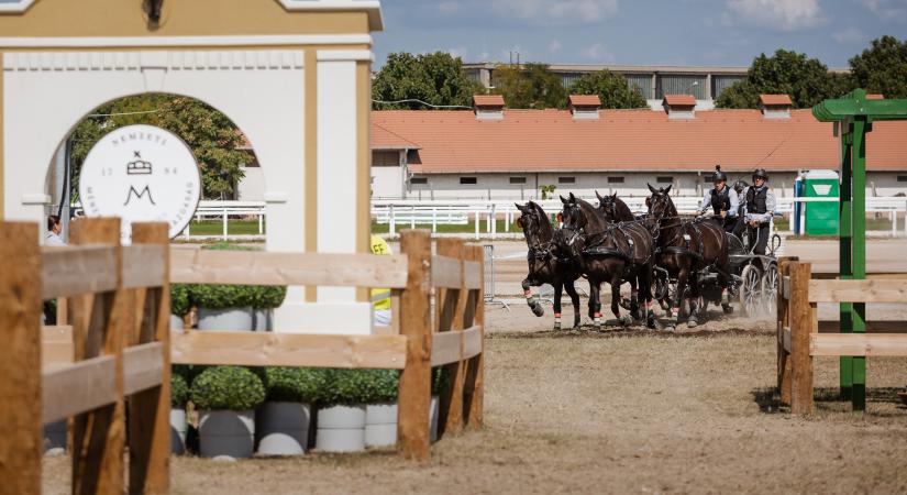 Lázár János idős nagybátyja is bekerült a Nemzeti Ménesbirtok felügyelőbizottságába