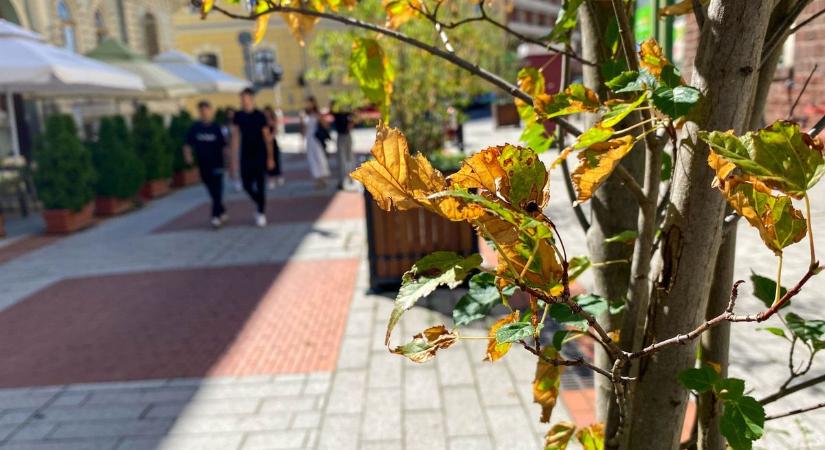 Nem hiszünk neked, szeptember, tartogatsz még valami meglepetést?
