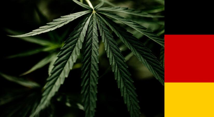 A haladás pöcegödre, avagy: a német kormány legalizálta a kannabiszt. Nem kellett volna…