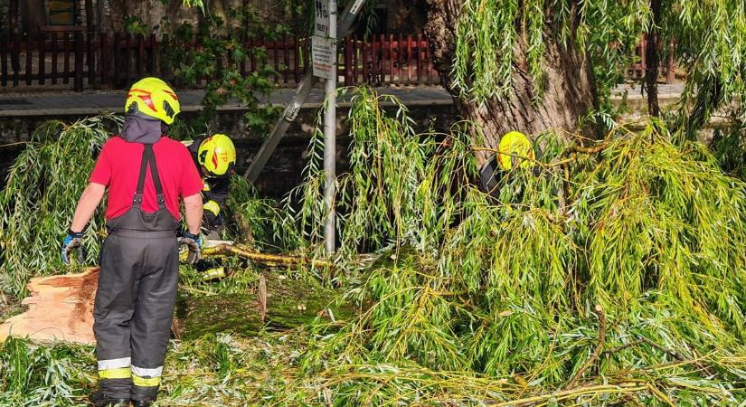 Megtépázta a vármegyét a hétvégi vihar, sok dolguk volt a tűzoltóknak