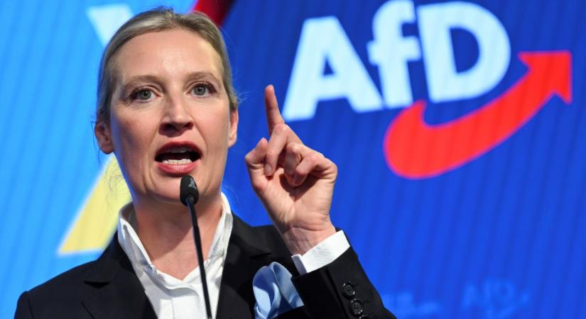 „Statisztikailag lehetetlen”: Egyszerre négy AfD-s politikus hunyt el két héttel a választások előtt