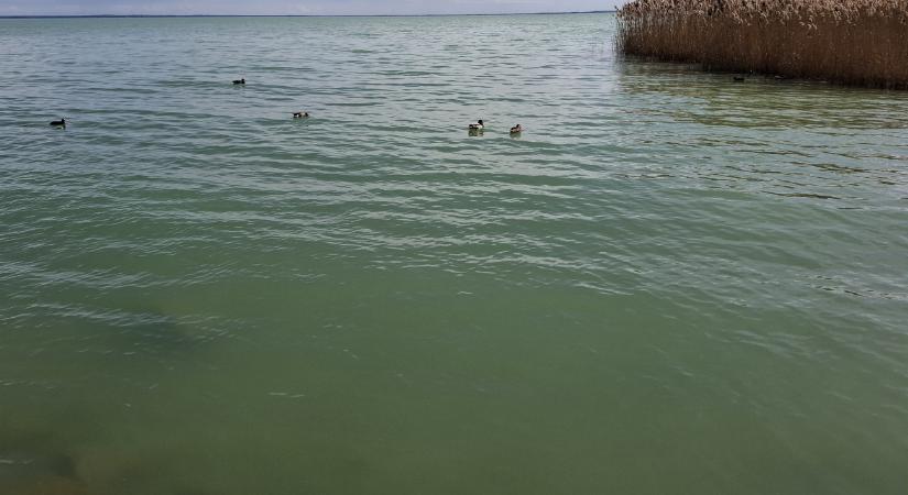 Rég nem történt ilyen a Balatonnal