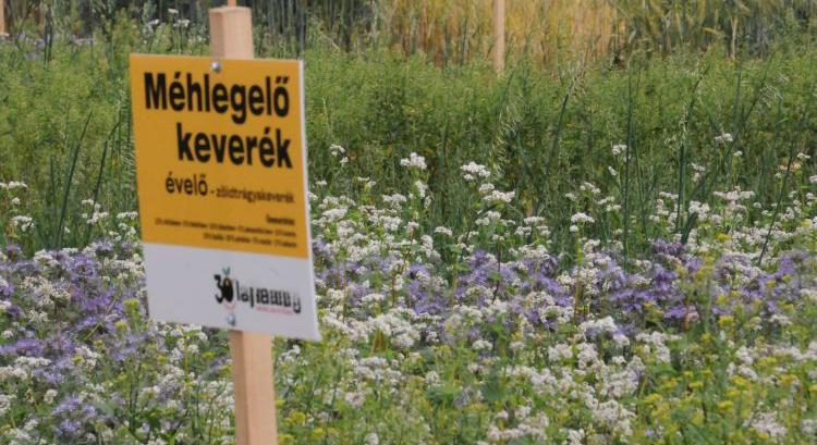 A biodiverzitásért fizetés járjon, ne támogatás