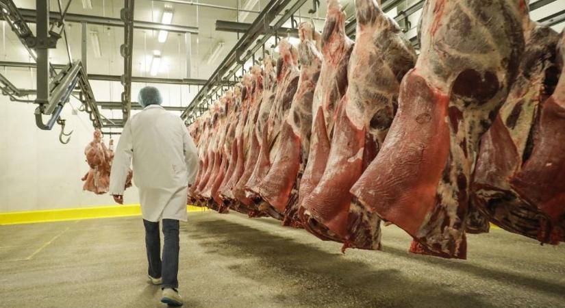 Bikainvázió a vágóhidakon – kétszer annyit vágtak le belőlük, mint egy évvel korábban