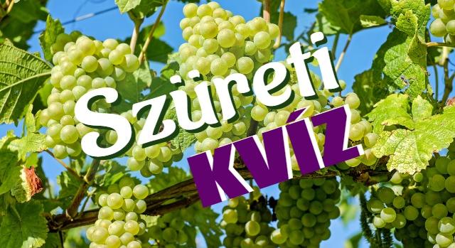 Kvíz: Teszteld a tudásod! Tudod, hogy zajlik a szüret?