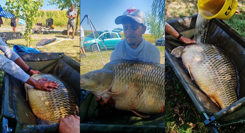 Szenzáció: elérte a 35 kilós álomhatárt a debreceni tó óriása