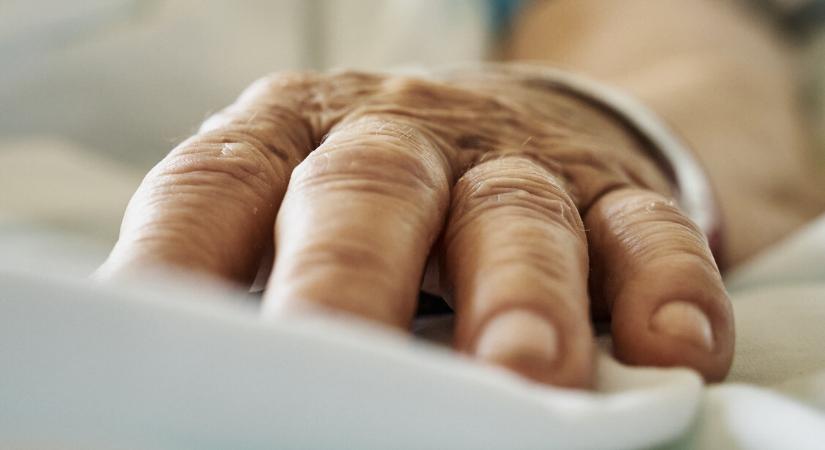 E. coli fertőzés okozta több ember halálát Belgiumban – szennyezett élelmiszer kerülhetett forgalomba
