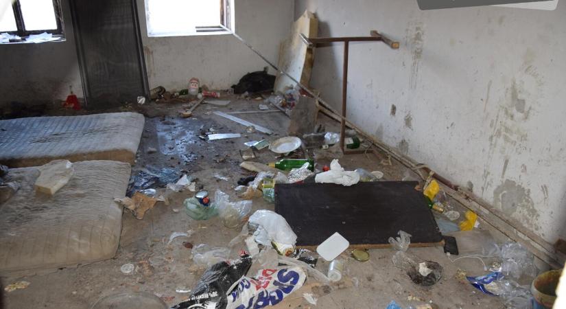 Kegyetlen körülmények között pusztult el egy kutya, állatkínzás miatt nyomoz a rendőrség (18!)