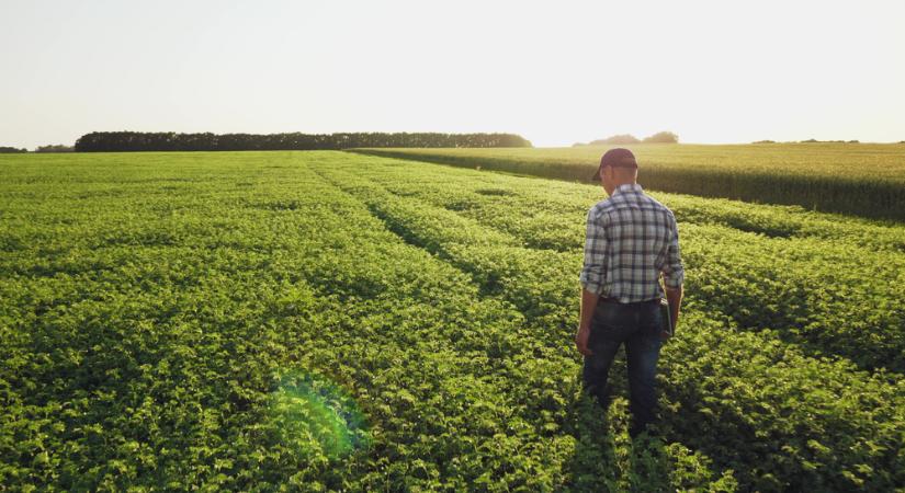 Újabb pályázat ösztönzi a generációváltást az agráriumban