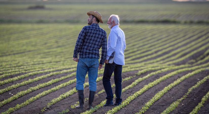 Novemberben indul a generációváltást ösztönző agrártámogatás