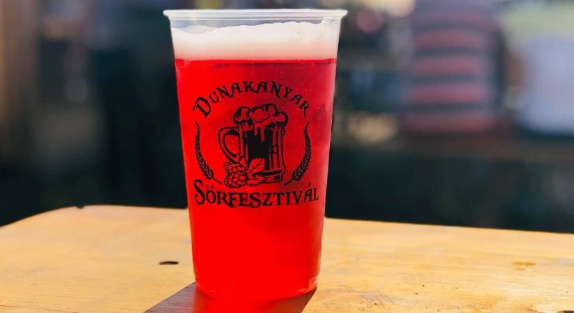 Dunakanyar Sörfesztivál 2025 Vác