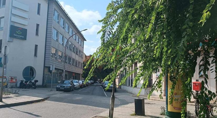 A természet gonosz játékot űzött a sofőrökkel, abszurd dolog történt egy utcában
