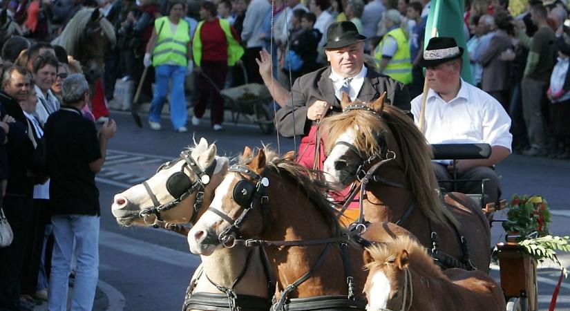 Móri Bornapok: Kiderült, kik lesznek a legnagyobb fellépők (galéria)