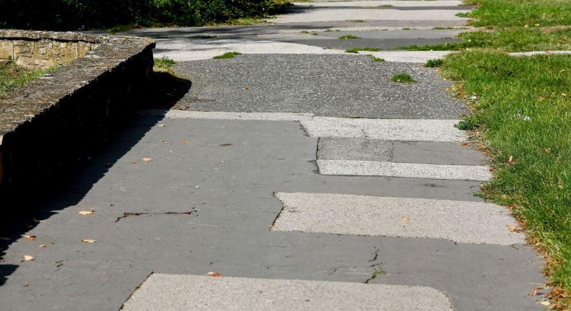 Ilyet még nem láttál! A belvárosi járdán ujjnyi repedésekből tör elő a gaz (galéria, videó)