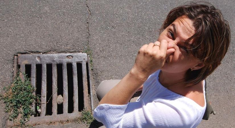 A bűz elűz Balatonlellén: szabályos, mégis bűzlik – patthelyzet a déli parton