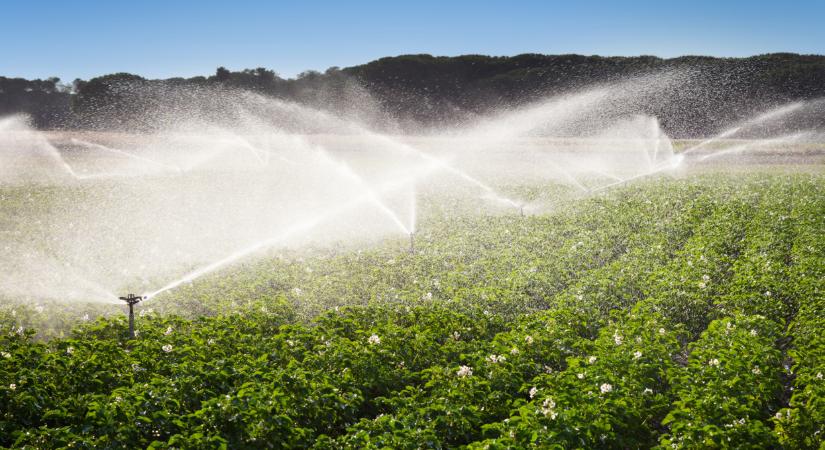 Drámai figyelmeztetés: ha nem lesz változás, összeomlik a magyar agrárium