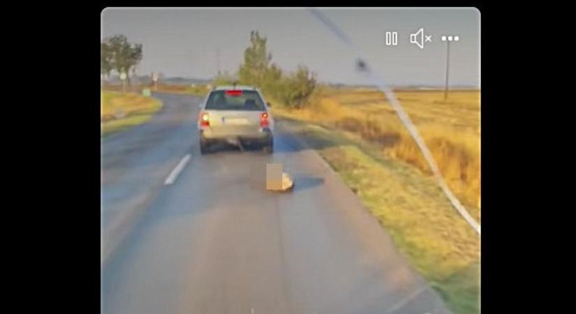 Brutális állatkínzás: autója után kötötte és úgy húzta nagy sebességgel kutyáját egy férfi - videó